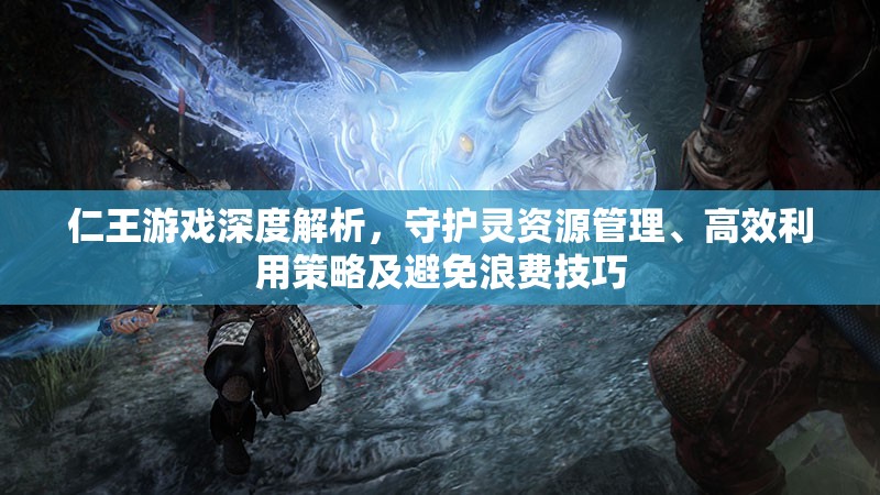 仁王游戏深度解析，守护灵资源管理、高效利用策略及避免浪费技巧