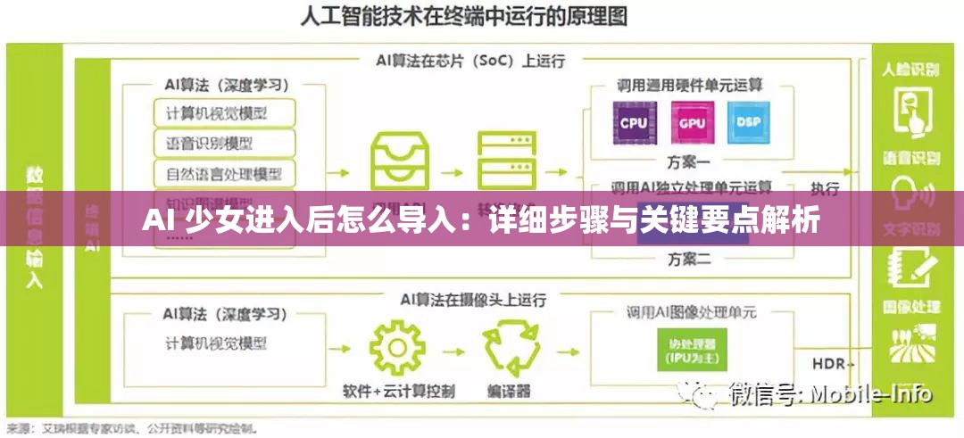 AI 少女进入后怎么导入：详细步骤与关键要点解析