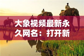 大象视频最新永久网名：打开新世界的大门，带你领略不一样的视界