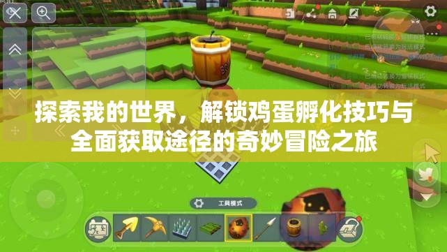 探索我的世界，解锁鸡蛋孵化技巧与全面获取途径的奇妙冒险之旅