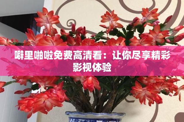 噼里啪啦免费高清看：让你尽享精彩影视体验
