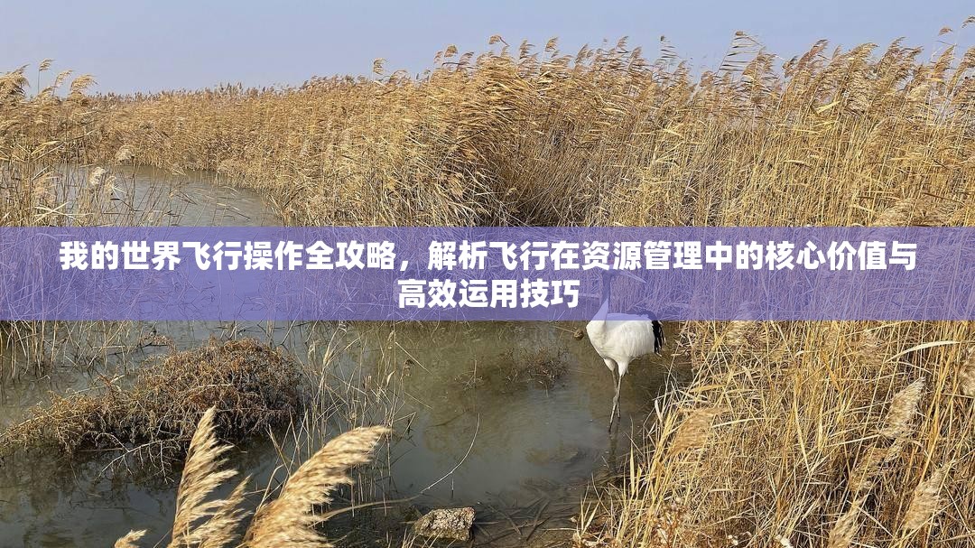 我的世界飞行操作全攻略，解析飞行在资源管理中的核心价值与高效运用技巧