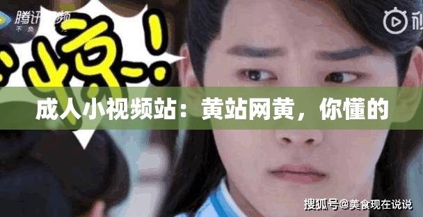 成人小视频站：黄站网黄，你懂的