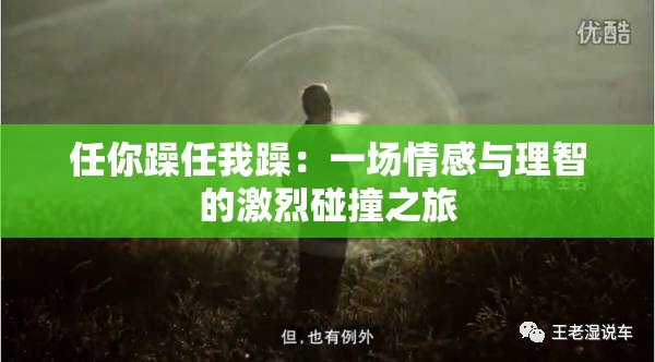 任你躁任我躁：一场情感与理智的激烈碰撞之旅