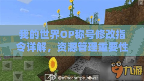 我的世界OP称号修改指令详解，资源管理重要性及高效修改策略