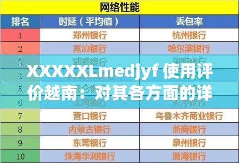 XXXXXLmedjyf 使用评价越南：对其各方面的详细分析与探讨