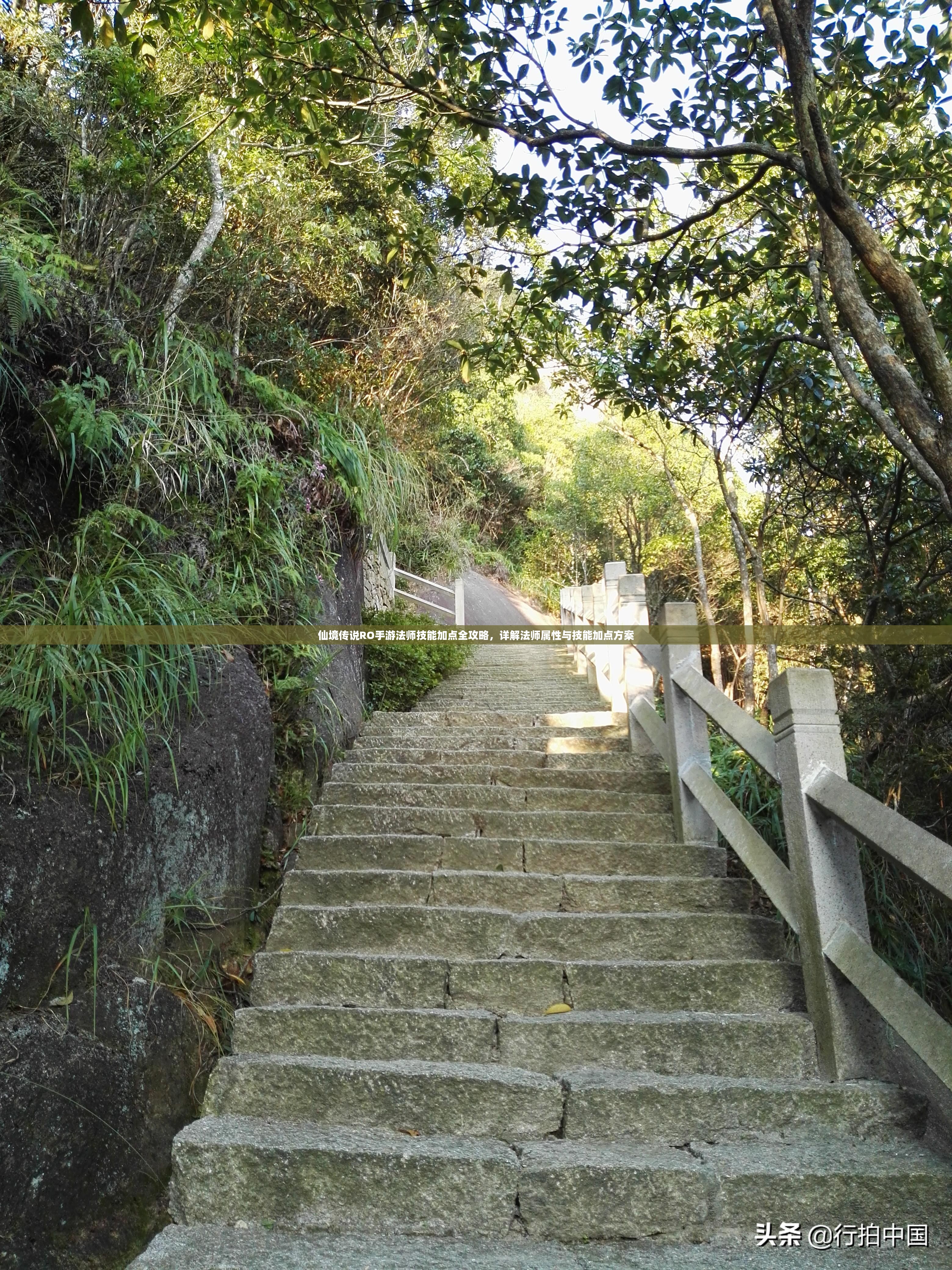 仙境传说RO手游法师技能加点全攻略，详解法师属性与技能加点方案