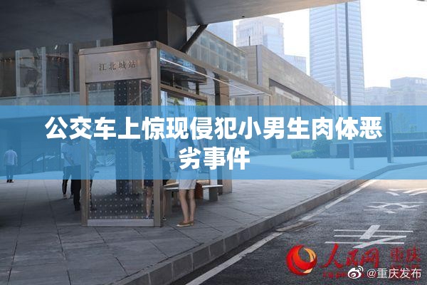 公交车上惊现侵犯小男生肉体恶劣事件