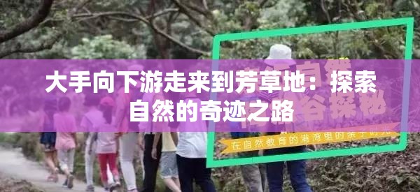 大手向下游走来到芳草地：探索自然的奇迹之路