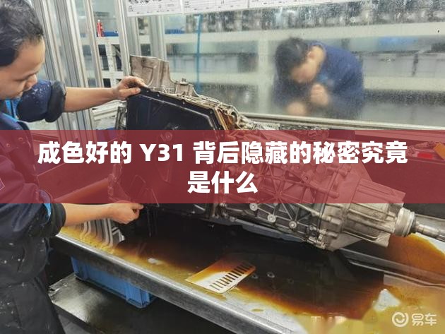成色好的 Y31 背后隐藏的秘密究竟是什么