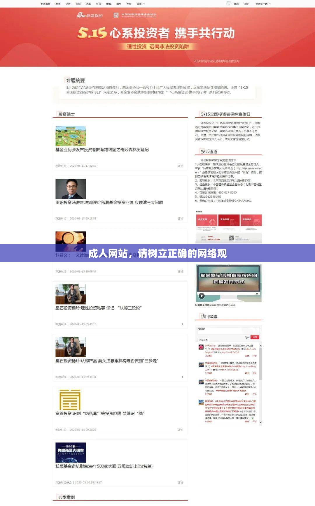 成人网站，请树立正确的网络观