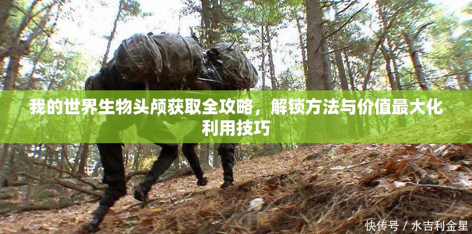 我的世界生物头颅获取全攻略，解锁方法与价值最大化利用技巧