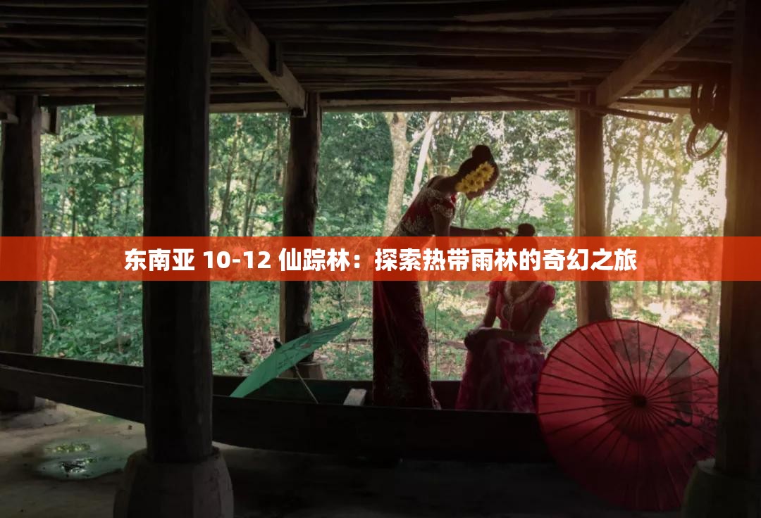 东南亚 10-12 仙踪林：探索热带雨林的奇幻之旅