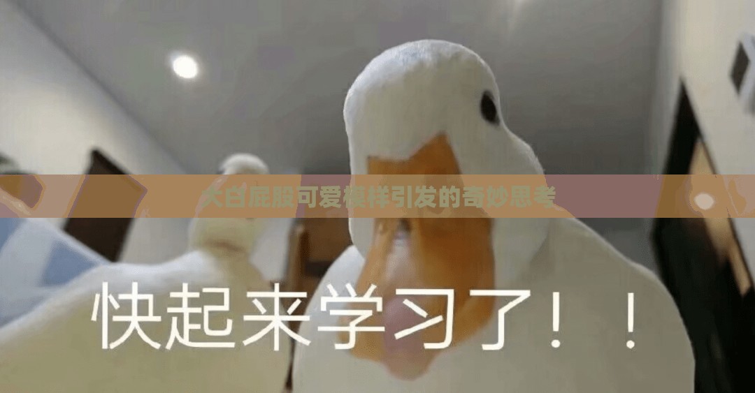 大白屁股可爱模样引发的奇妙思考