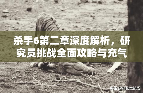杀手6第二章深度解析，研究员挑战全面攻略与充气鳄鱼挑战位置大全