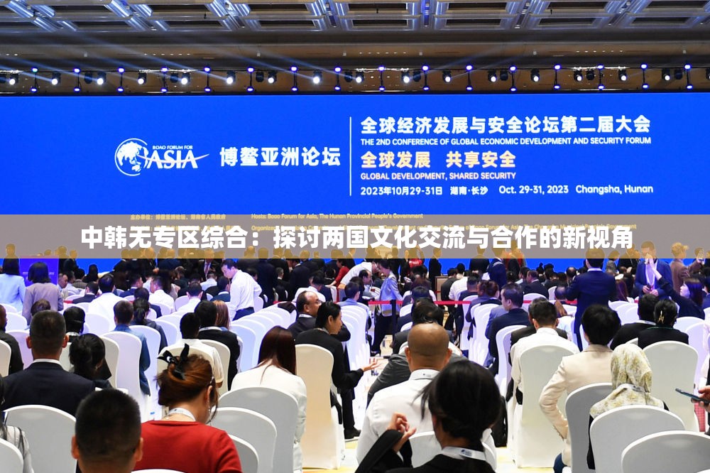 中韩无专区综合：探讨两国文化交流与合作的新视角