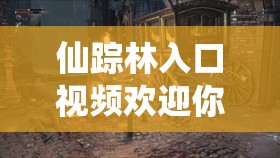 仙踪林入口视频欢迎你：踏入奇幻之境的奇妙入口