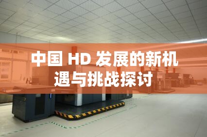 中国 HD 发展的新机遇与挑战探讨