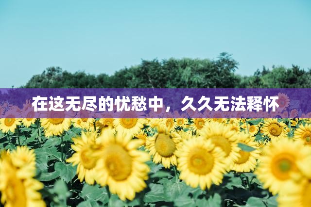 在这无尽的忧愁中，久久无法释怀