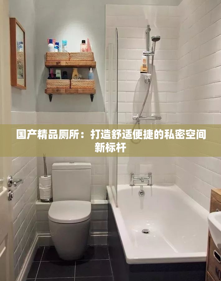 国产精品厕所：打造舒适便捷的私密空间新标杆