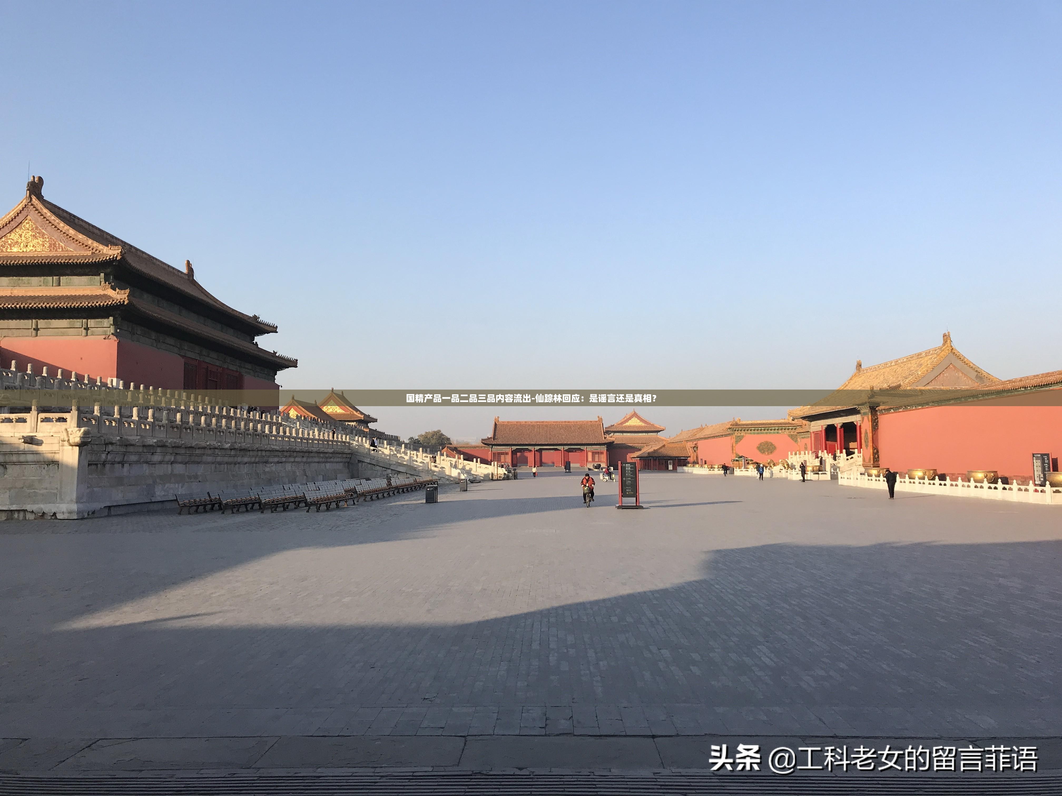 国精产品一品二品三品内容流出-仙踪林回应：是谣言还是真相？