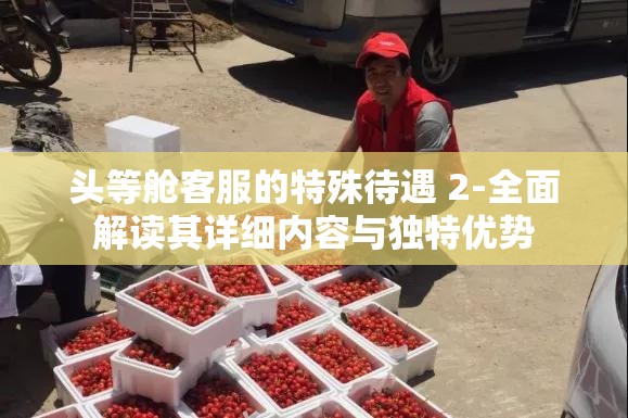 头等舱客服的特殊待遇 2-全面解读其详细内容与独特优势