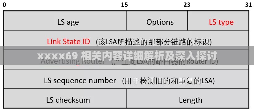 xxxx69 相关内容详细解析及深入探讨