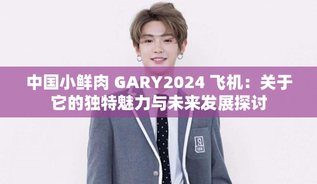 中国小鲜肉 GARY2024 飞机：关于它的独特魅力与未来发展探讨