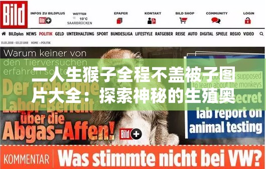 二人生猴子全程不盖被子图片大全：探索神秘的生殖奥秘
