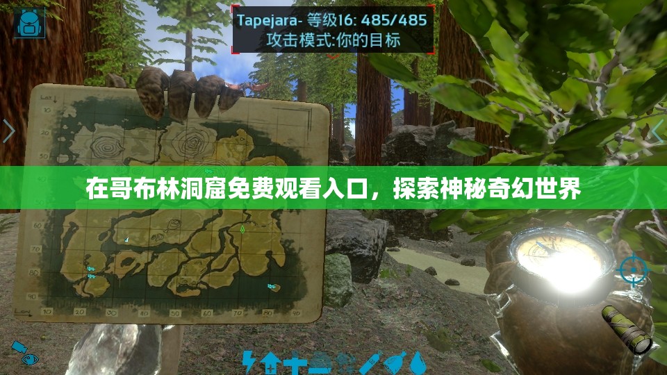 在哥布林洞窟免费观看入口，探索神秘奇幻世界