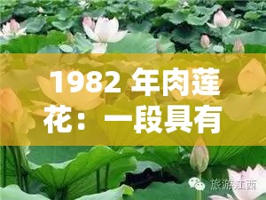1982 年肉莲花：一段具有独特历史意义和文化价值的过往记忆