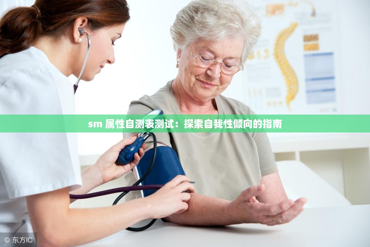 sm 属性自测表测试：探索自我性倾向的指南