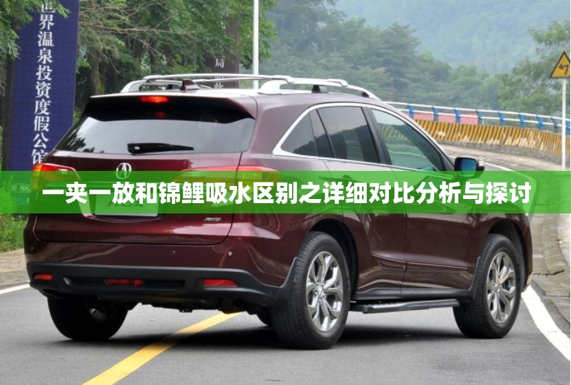 一夹一放和锦鲤吸水区别之详细对比分析与探讨