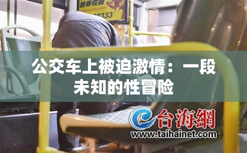 公交车上被迫激情：一段未知的性冒险