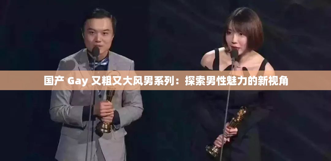 国产 Gay 又粗又大风男系列：探索男性魅力的新视角