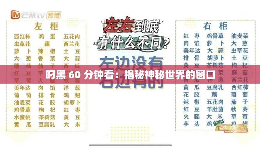 叼黑 60 分钟看：揭秘神秘世界的窗口