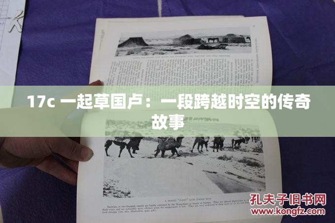 17c 一起草国卢：一段跨越时空的传奇故事