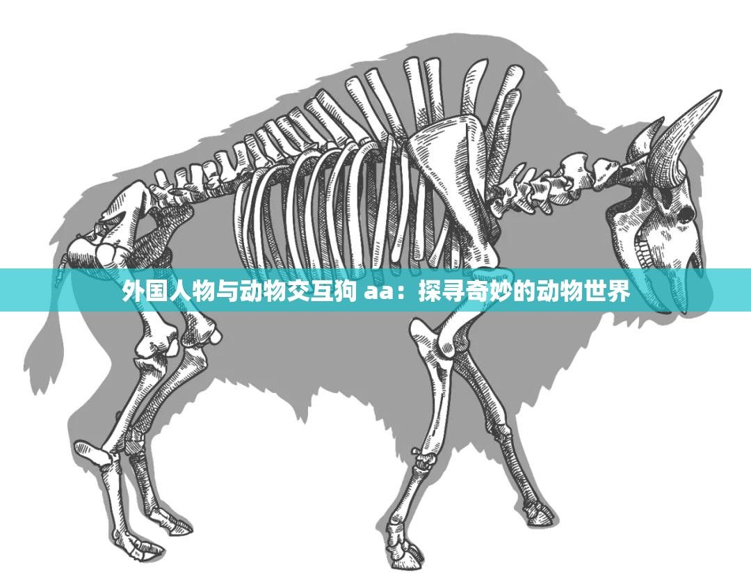 外国人物与动物交互狗 aa：探寻奇妙的动物世界