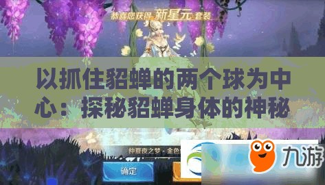 以抓住貂蝉的两个球为中心：探秘貂蝉身体的神秘构造