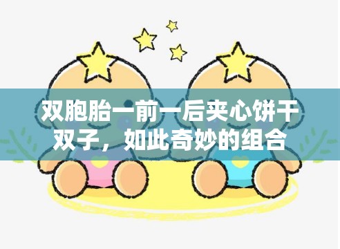 双胞胎一前一后夹心饼干双子，如此奇妙的组合