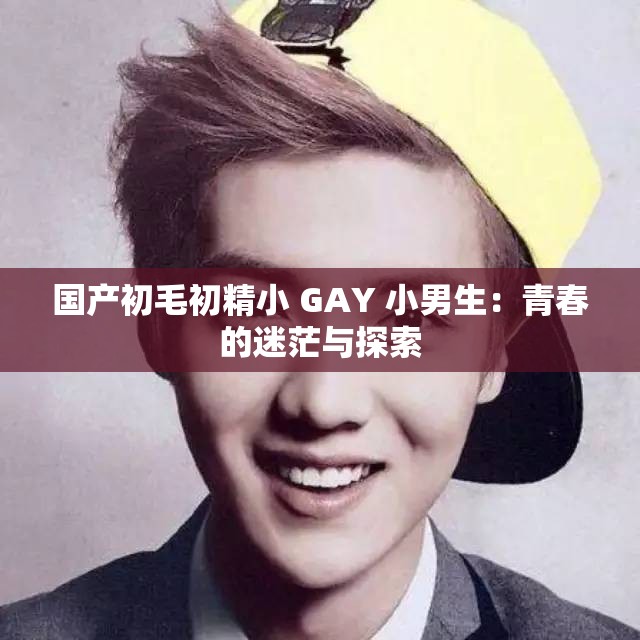 国产初毛初精小 GAY 小男生：青春的迷茫与探索