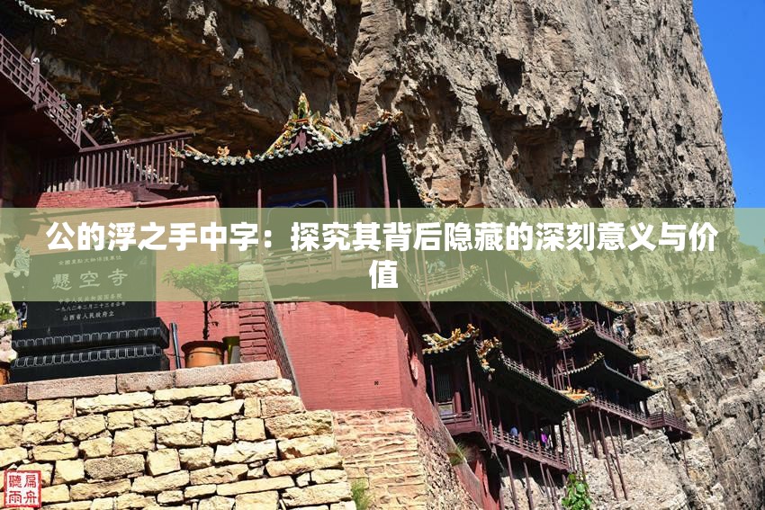 公的浮之手中字：探究其背后隐藏的深刻意义与价值