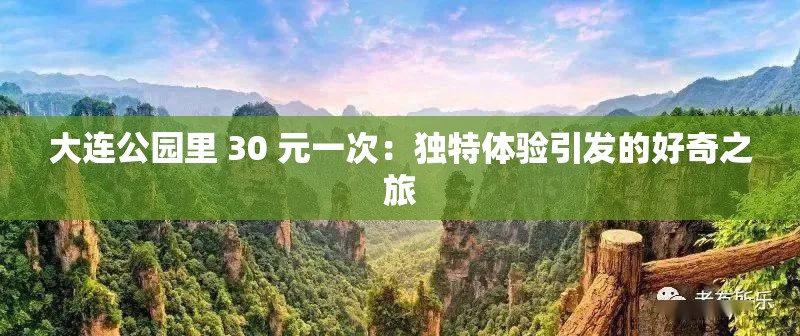 大连公园里 30 元一次：独特体验引发的好奇之旅