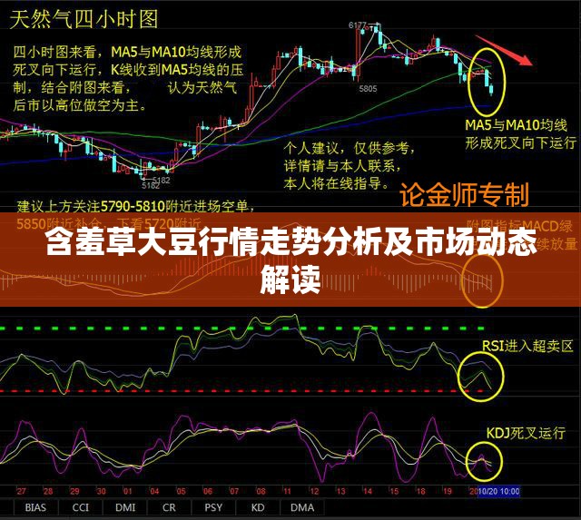 含羞草大豆行情走势分析及市场动态解读