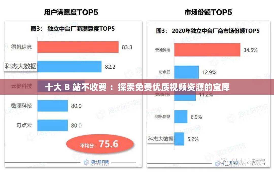 十大 B 站不收费 ：探索免费优质视频资源的宝库
