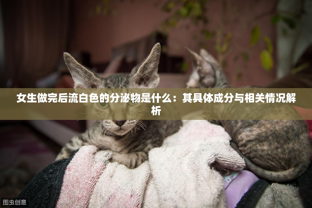 女生做完后流白色的分泌物是什么：其具体成分与相关情况解析