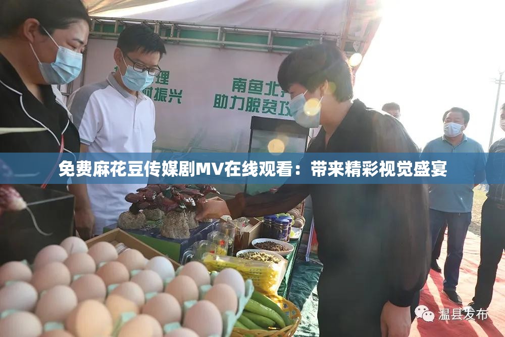 免费麻花豆传媒剧MV在线观看：带来精彩视觉盛宴