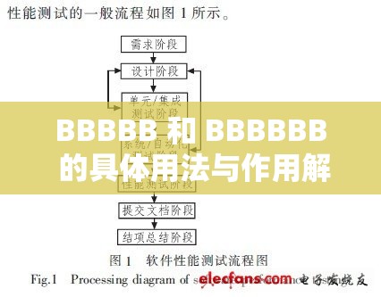 BBBBB 和 BBBBBB 的具体用法与作用解析