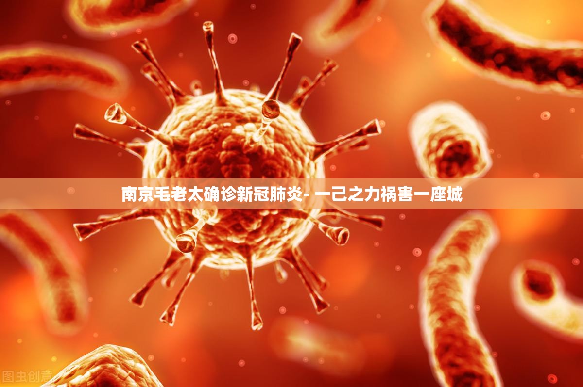 南京毛老太确诊新冠肺炎- 一己之力祸害一座城