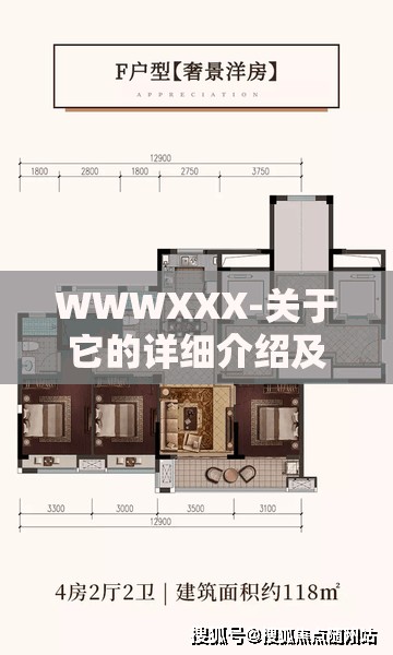 WWWXXX-关于它的详细介绍及全面解读分析